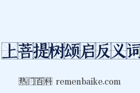 上菩提树颂启反义词是什么意思的图片